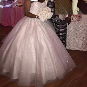 2017 Disney Cinderella Ball Wedding Gown